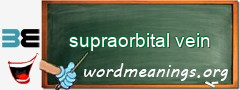 WordMeaning blackboard for supraorbital vein